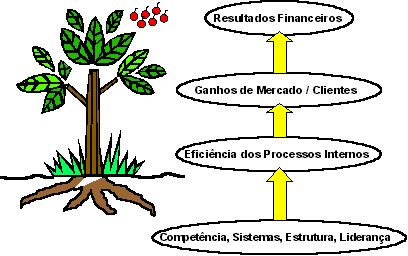 relaciones de causa y efecto entre las perspectivas del BSC