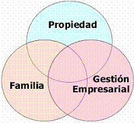 la empresa familiar es un sistema de tres círculos, donde se superponen la empresa, la familia y la gestión empresarial